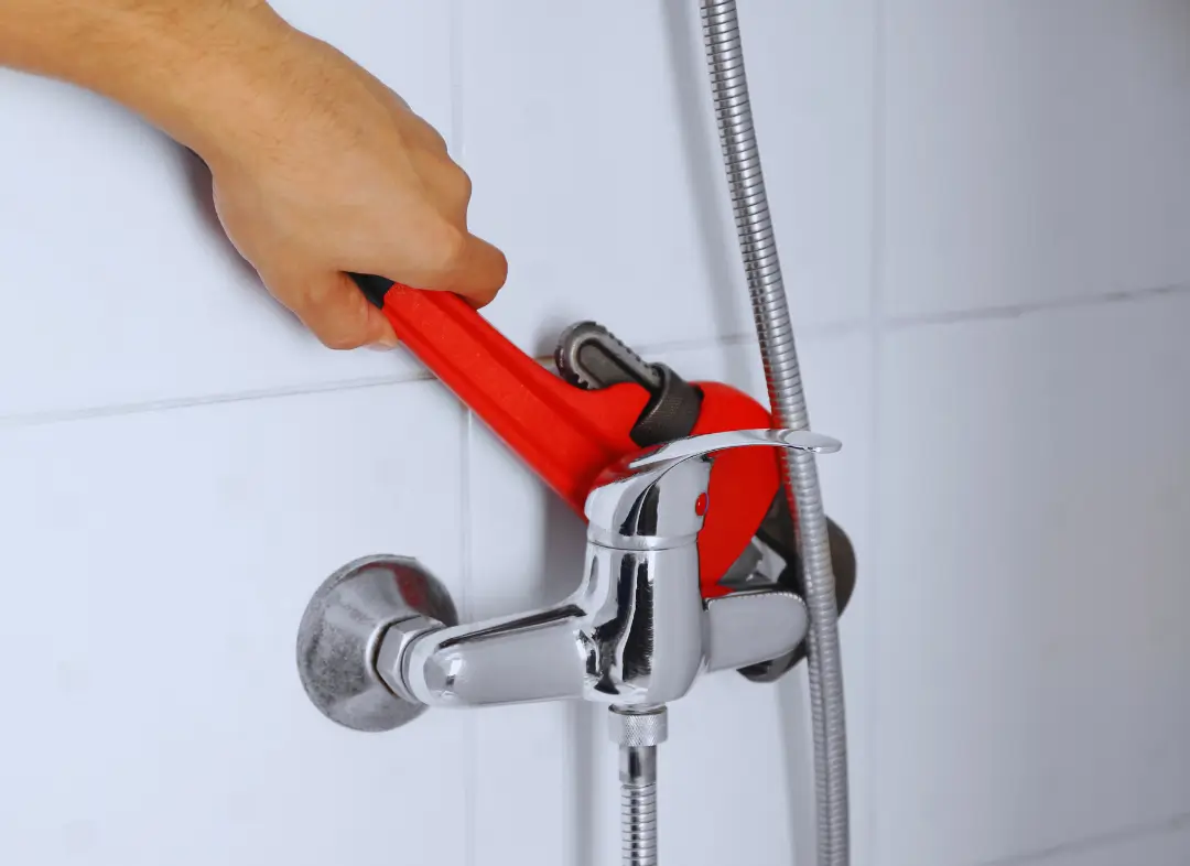 Mitigeur Thermostatique douche Ombrée d'Anjou