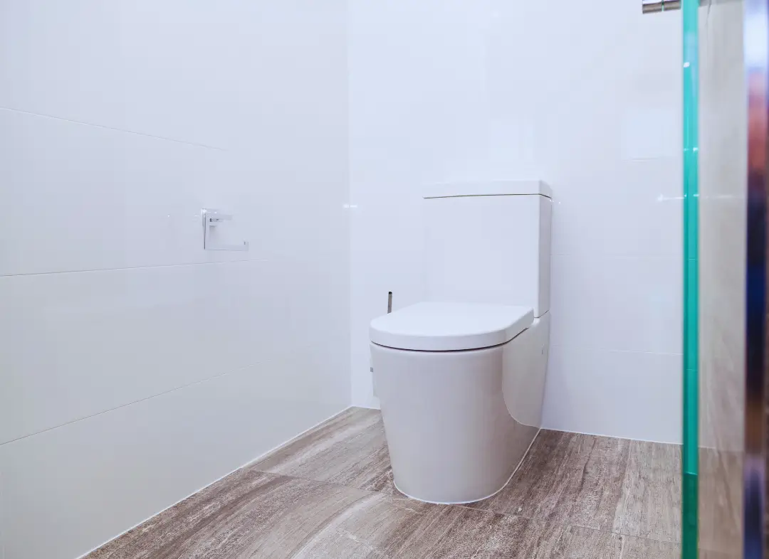 Remplacement de wc Ombrée d'Anjou