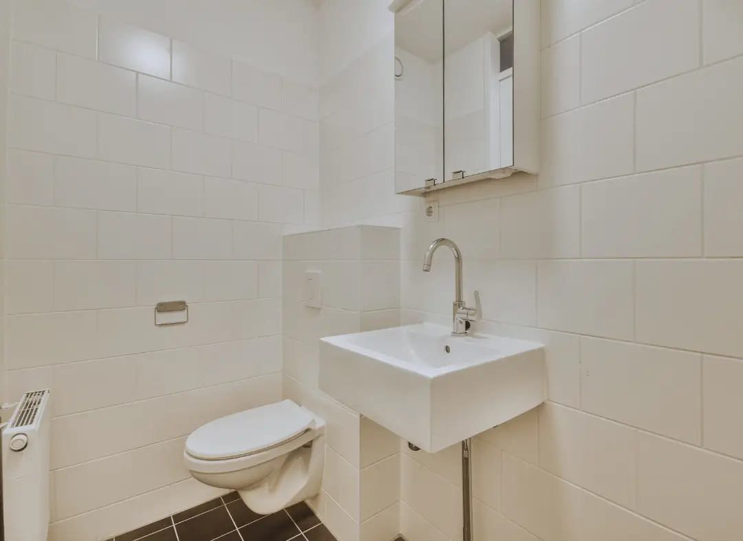 Pose WC Suspendu Ombrée d'Anjou